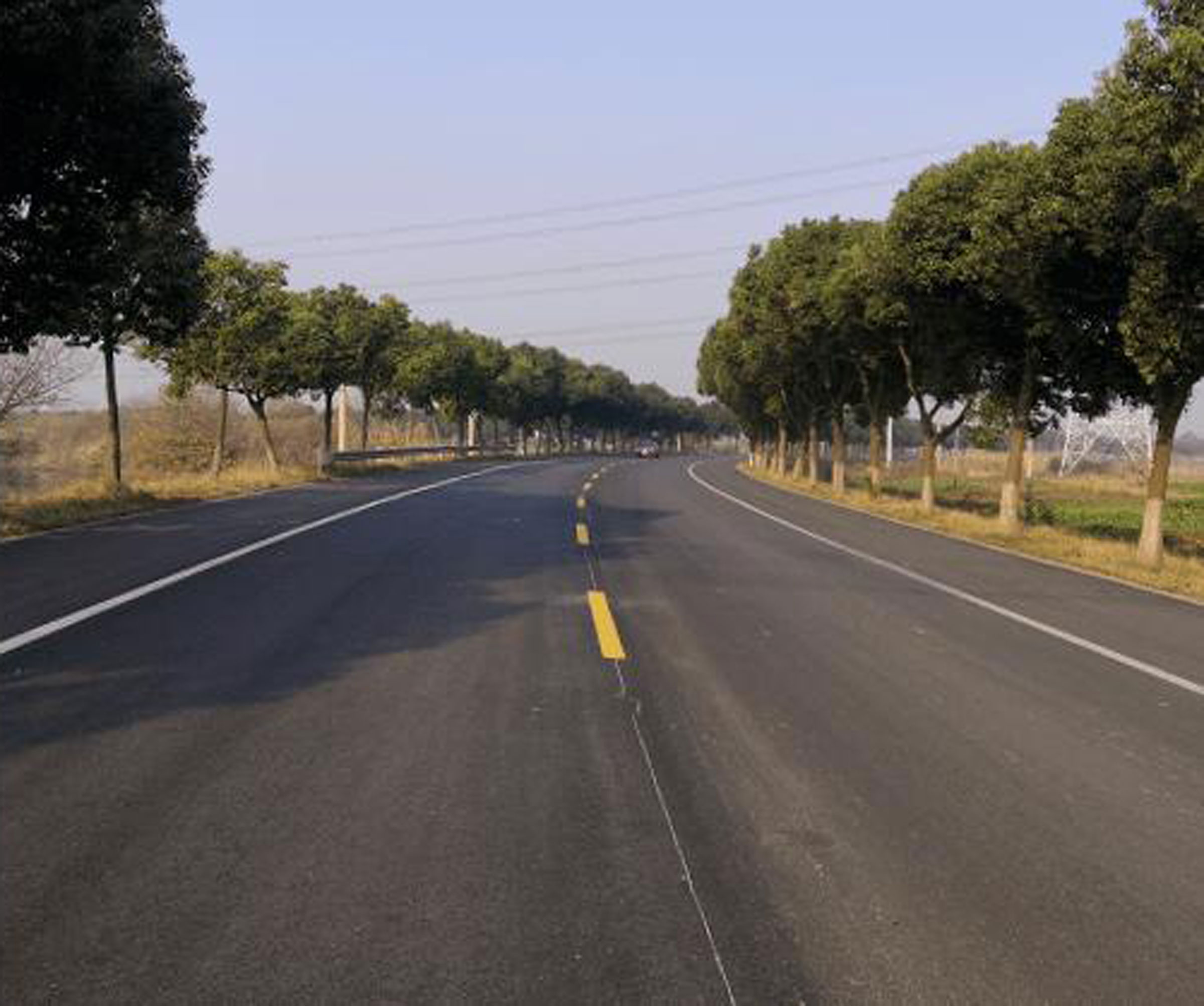A tree-lined paved road curving into the distance under a pale blue sky, with green and brown tones along the route.